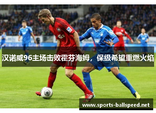 汉诺威96主场击败霍芬海姆，保级希望重燃火焰